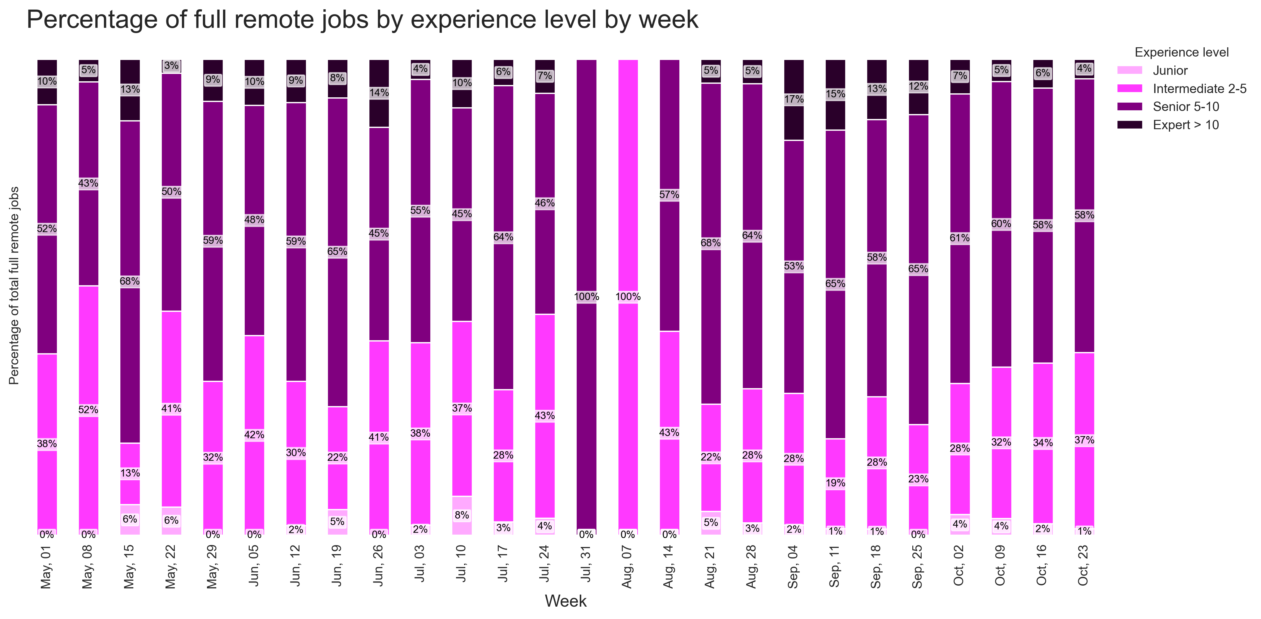 Remote Opportunities by Experience