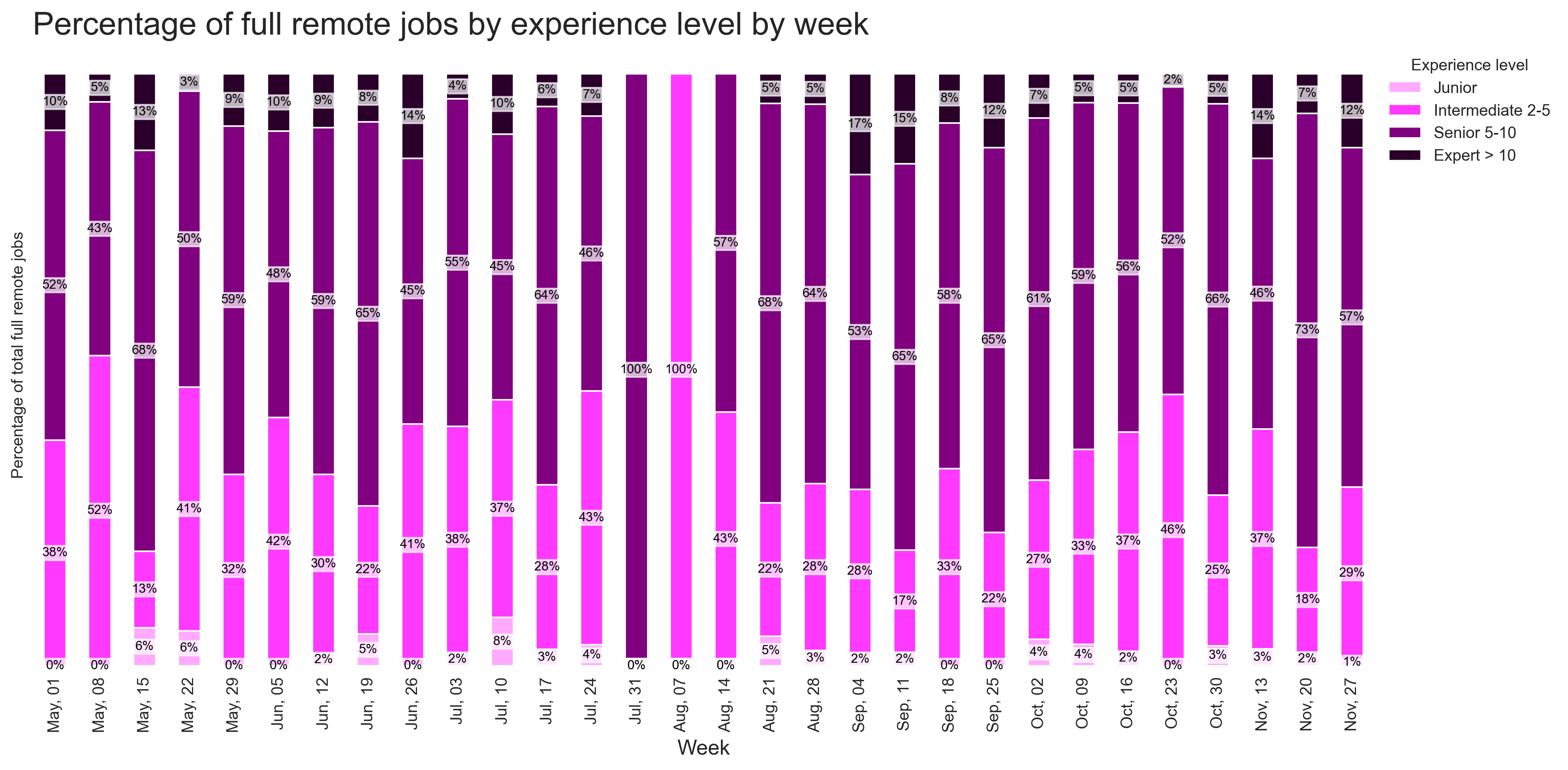 Remote Opportunities by Experience